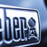    Weber Genesis II E-310 GBS