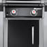 Weber Spirit E-210   