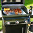 Weber Spirit E-310   