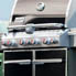    Weber Summit E-470