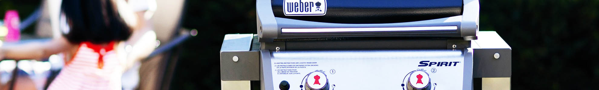   Weber Fingrill