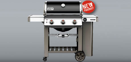    Weber Genesis II E-310 GBS