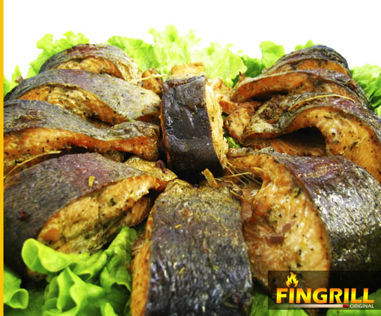 FinGrill: рецепты для финских грилей-барбекю финские грили fingrill