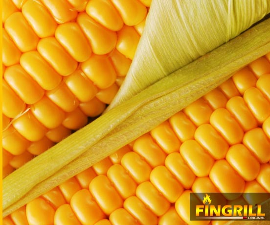 FinGrill: рецепты для финских грилей-барбекю финские грили fingrill