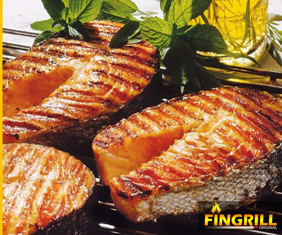 FinGrill: рецепты для финских грилей-барбекю финские грили fingrill