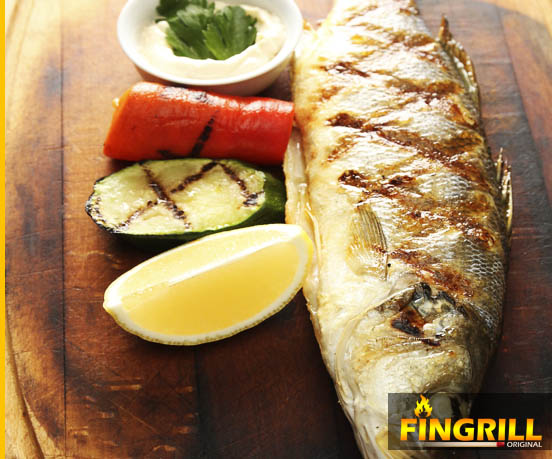 FinGrill: рецепты для финских грилей-барбекю финские грили fingrill