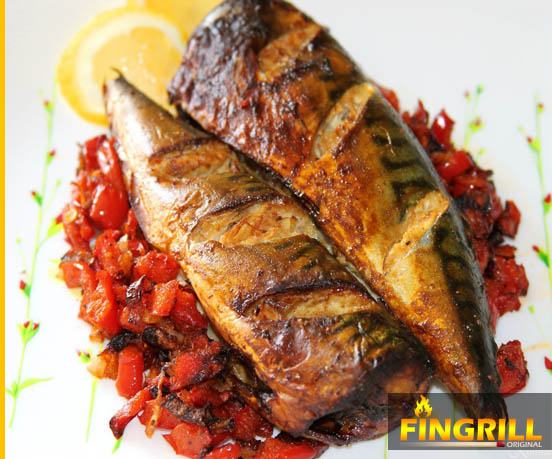 FinGrill: рецепты для финских грилей-барбекю финские грили fingrill