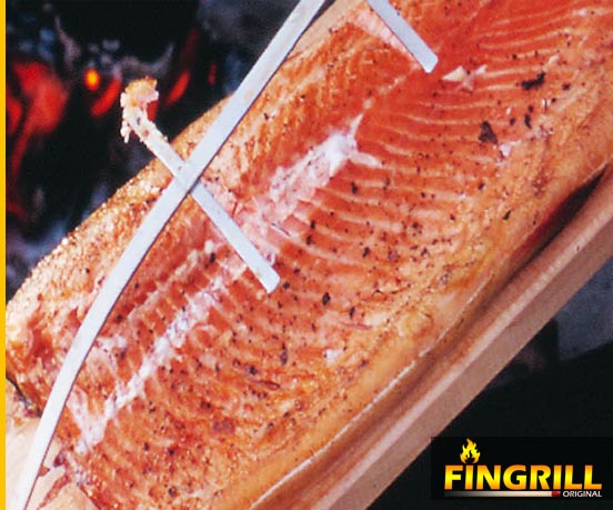 FinGrill: рецепты для финских грилей-барбекю финские грили fingrill