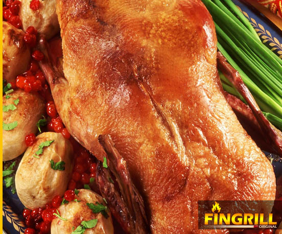 FinGrill: рецепты для финских грилей-барбекю финские грили fingrill