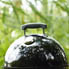    Weber Smokey Mountain Cooker